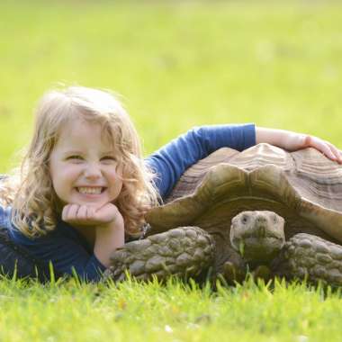 The Tortoise Rescue Centre